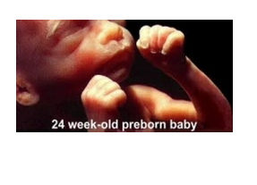 {:hr}Nova rubrika: Kultura života{:}{:en}Nova rubrika: Kultura života{:}